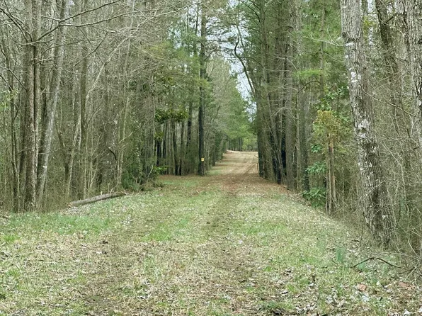 McCormick St #20ACRES, Mc Cormick, SC 29835