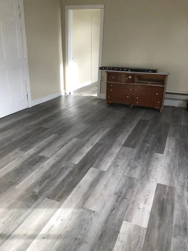 1 bed, $900 — Photo 4