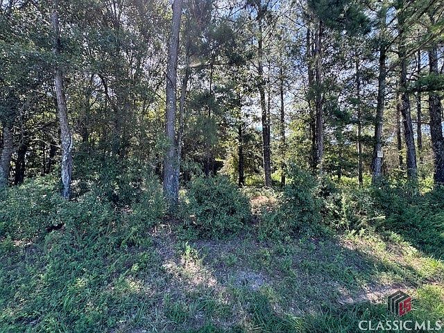 2nd image of 0 Old Bowersville Road