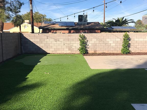 Turf Backyard