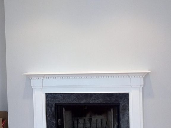 Wood-burning fireplace