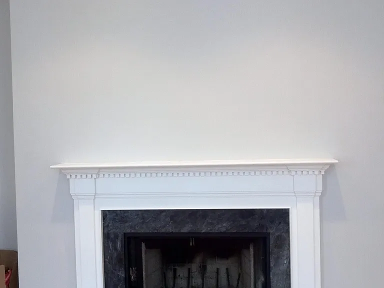 Wood-burning fireplace