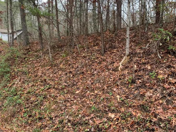 28 Lot Point, Sevierville, TN 37876