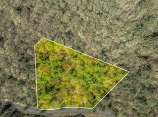 LOT 9 Callalantee Dr, Mountain City, TN 37683
