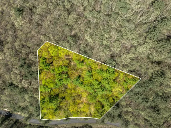 LOT 9 Callalantee Dr, Mountain City, TN 37683