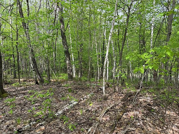 2nd image of Lot 4 Peterson Road