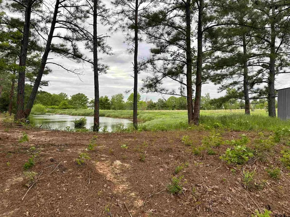 LOT 2 County Road 3612, Brownsboro, TX 75756