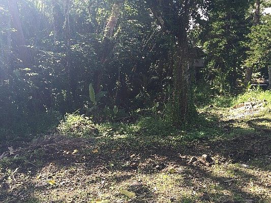 2nd image of Puhi St Lot 1795