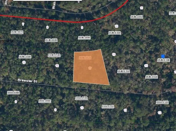 223 Brewster St, Satsuma, FL 32189