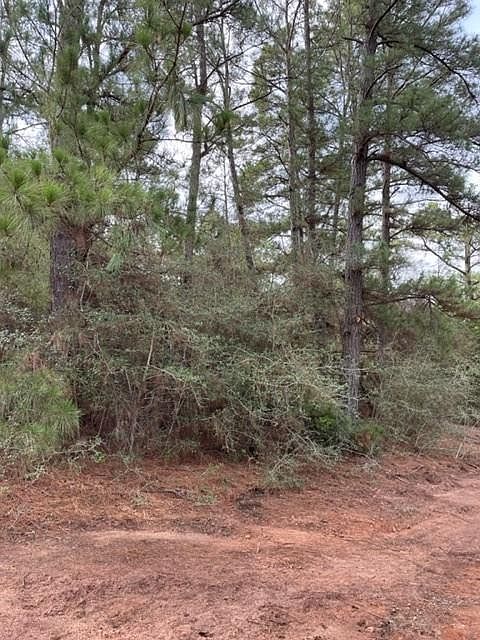 1st image of 604 Pine Canyon Dr