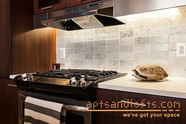 Rented by aptsandlofts.com | media 18