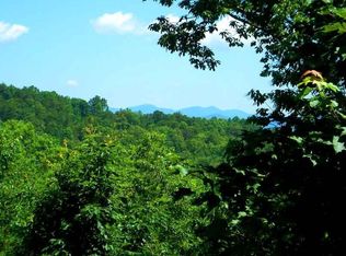 350 Stillwaters Rd, Blue Ridge, GA 30513