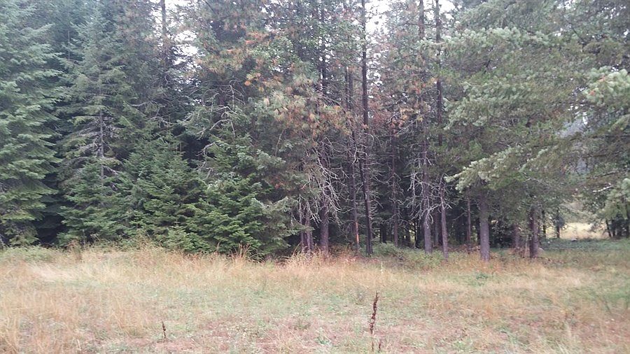 2nd image of 3021 Baker Lake Rd