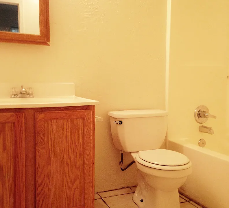 Hall bath_05052016