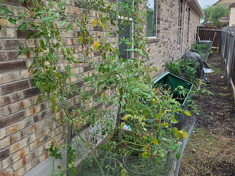 2471 Sunrise Rd #60 — Photo 31
