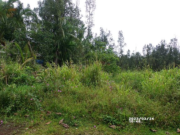 2nd image of Kona St Lot 479