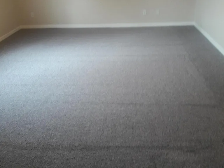 517 Belvidere St #B — Photo 9