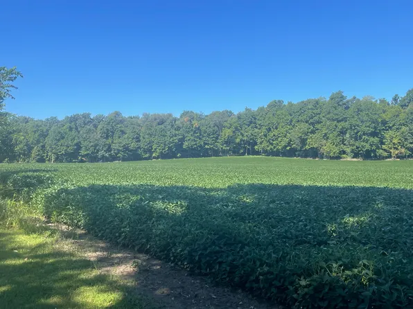 130 Osborn Rd, Bronson, MI 49028