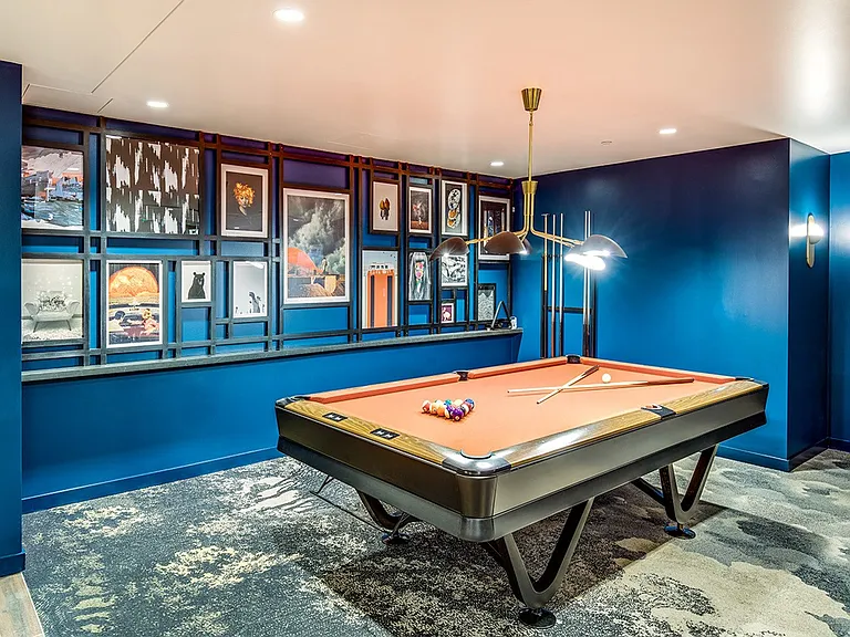 Billiard and Entertainment Space
