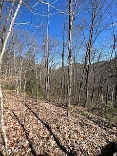5th image of Carson Springs Rd