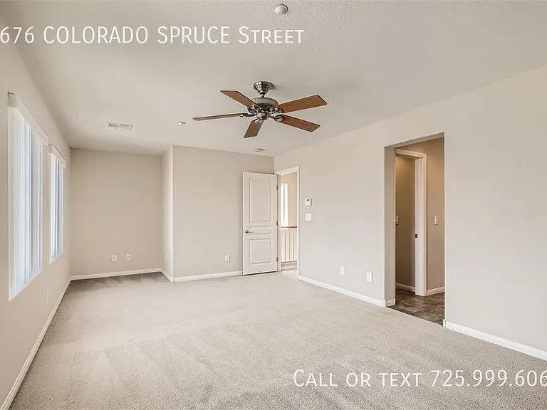 6676 Colorado Spruce St — Photo 14