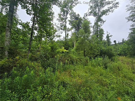 3rd image of 0 Charleston Rd