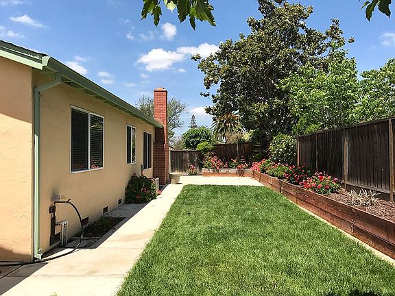 Back yard