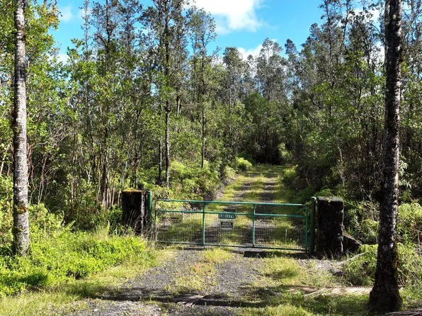 16-1179 Uhini Ana Rd Lot 2609, Mountain View, HI 96771