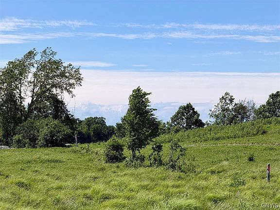 4th image of 33599 County Road 194 Lot 15
