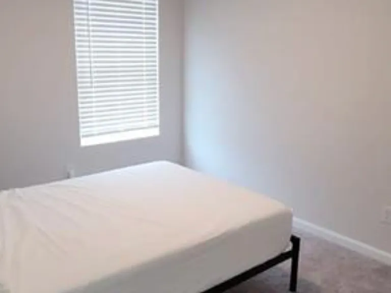 4333 Shaffer Ct — Photo 16