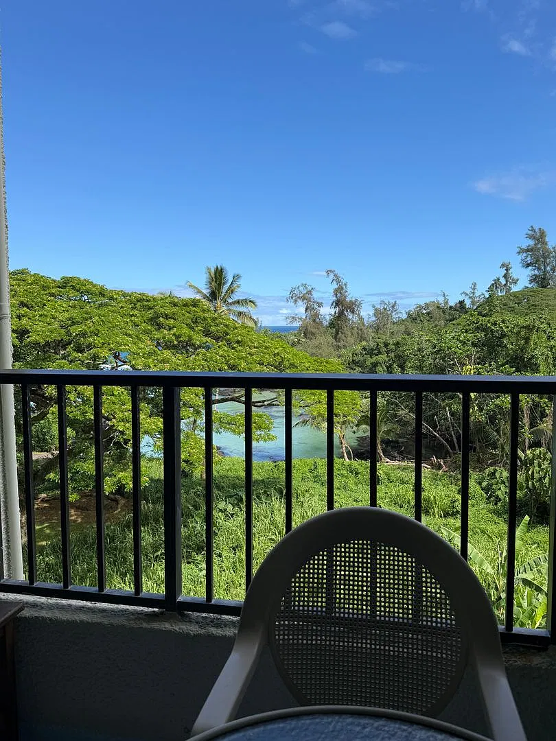 Fully Furnished All Utilities Included- 1bdrm/1 Bath — Photo 4