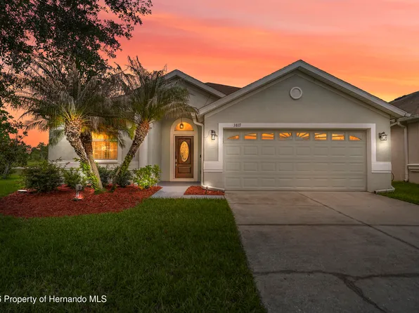 3817 Langdrum Dr, Wesley Chapel, FL 33543