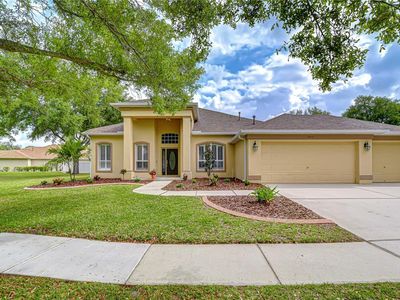 14112 Creek Run Dr, Riverview, FL, 33579
