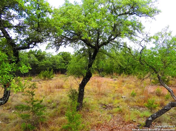 427 Lakepark Dr, Lakehills, TX 78063