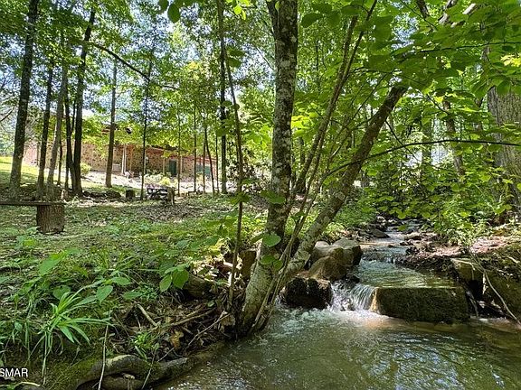 2nd image of 2561 Black Bear Ln
