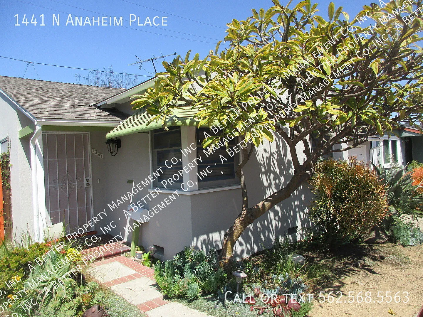 Circle Area 2 Bedroom 1 Bath House with Hardwood Floors, Garage & Yard! — Photo 3