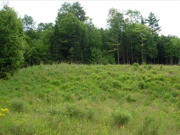 5th image of Lot 4 Catterall Road