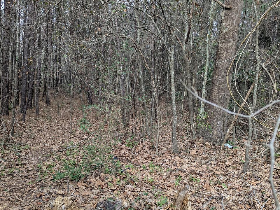 2nd image of 0 N Jefferies Blvd