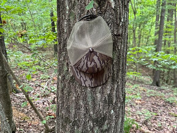 3rd image of Us Highway 41