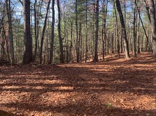 2AC New Way Ln, Ellijay, GA 30540