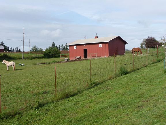 Oversized 2 stall horse barn
