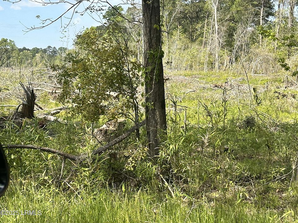 2nd image of 0 Lowcountry Dr