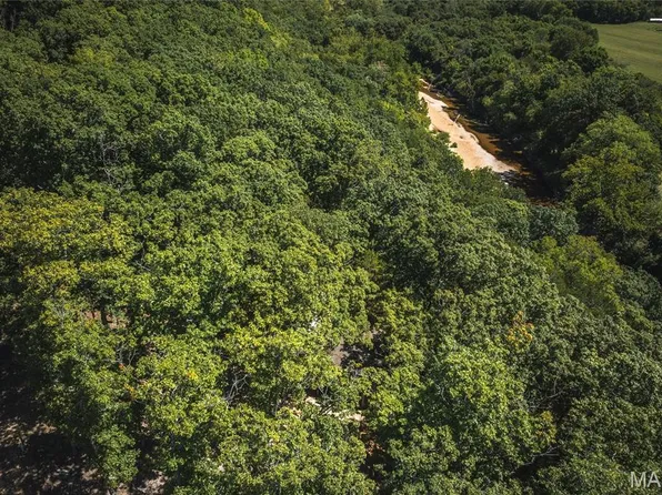 86 Klein Cut Off, Steelville, MO 65565