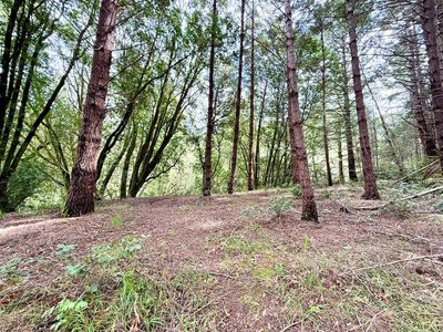 211 Beach Rd, Whitethorn, CA, 95589