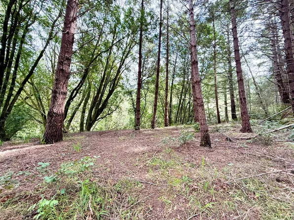 211 Beach Rd, Whitethorn, CA 95589