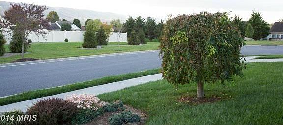 Nicely Maintained Development