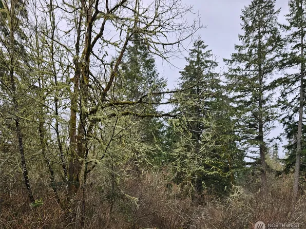 17109 18th ave ct S, Spanaway, WA 98387