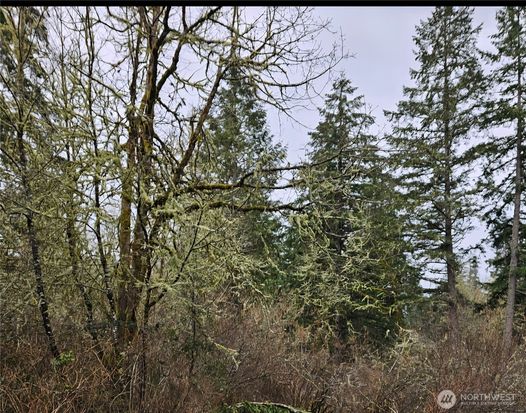 17109 18th ave ct S, Spanaway, WA 98387