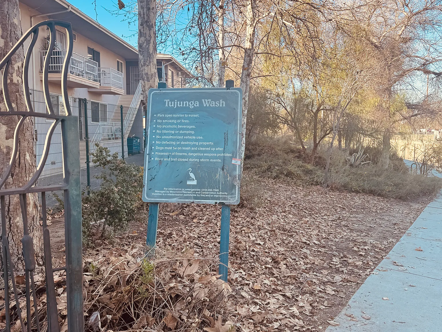 1 bed, 650 sqft, $1,750 — Photo 3