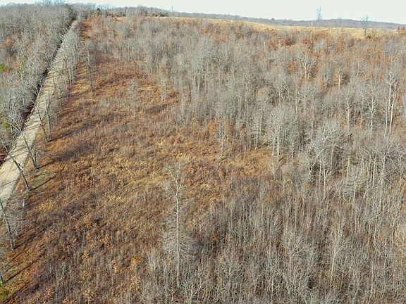 3rd image of 10331 Hopkins Rd